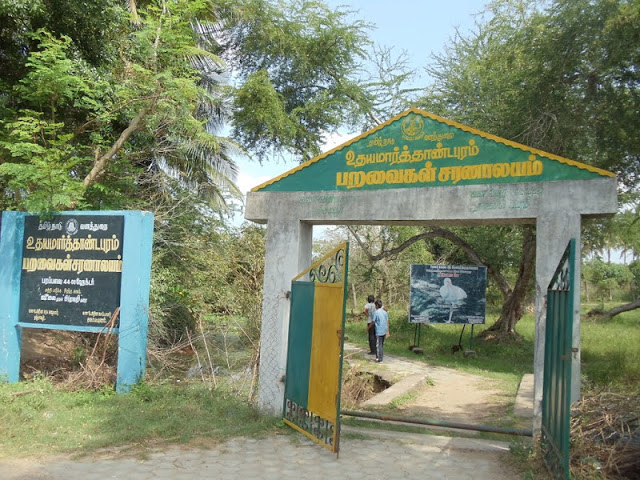 Udhayamarthandapuram Bird Sanctuary